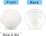 10PCS Large Natural Scallop Shells - 4''-5'' - Perfect for Elegant Beach Wedding Decor & Crafts